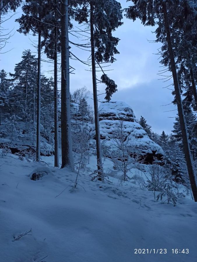 Dreilaendertreff Lejlighed Zittau Eksteriør billede